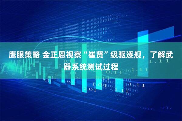 鹰眼策略 金正恩视察“崔贤”级驱逐舰，了解武器系统测试过程