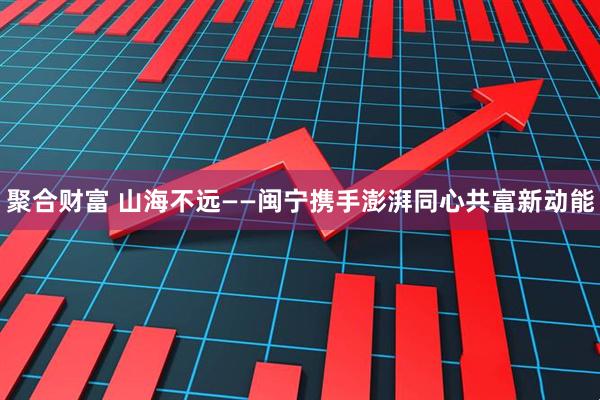 聚合财富 山海不远——闽宁携手澎湃同心共富新动能